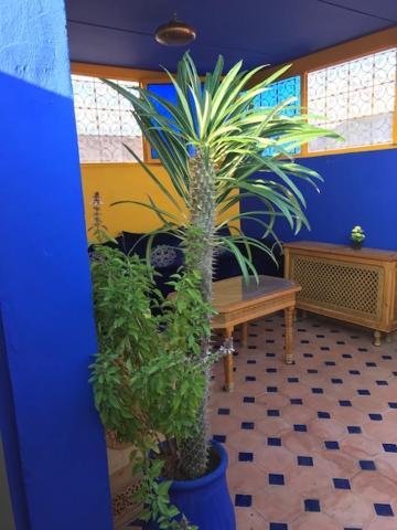Authentic Moroccan Charm Apartment In Marrakech Terrace Маракеш Екстериор снимка