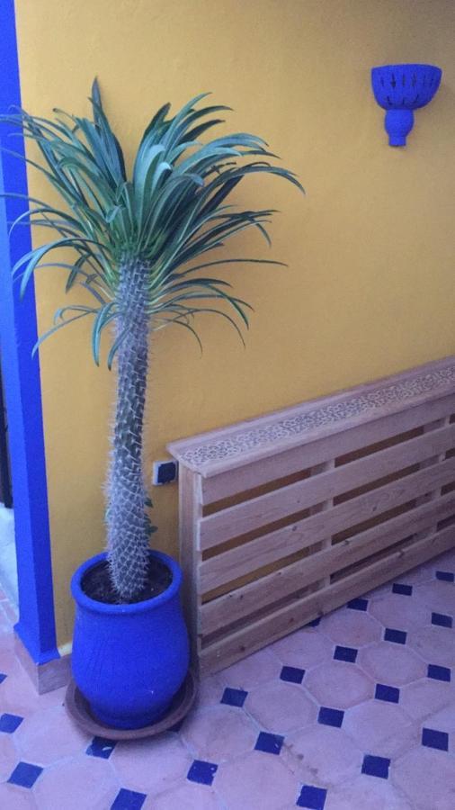 Authentic Moroccan Charm Apartment In Marrakech Terrace Маракеш Екстериор снимка